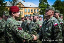 spen nasadenie IRF roty v Bosne a Hercegovine